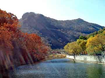 澳门红姐论坛精准两码300期，节油器原理